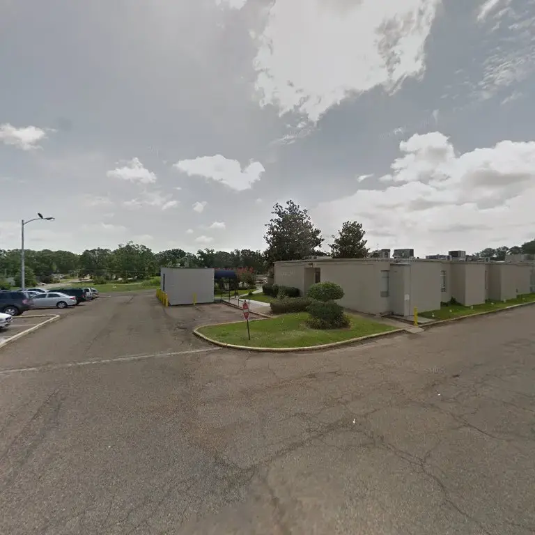 Mississippi Motion photo 3