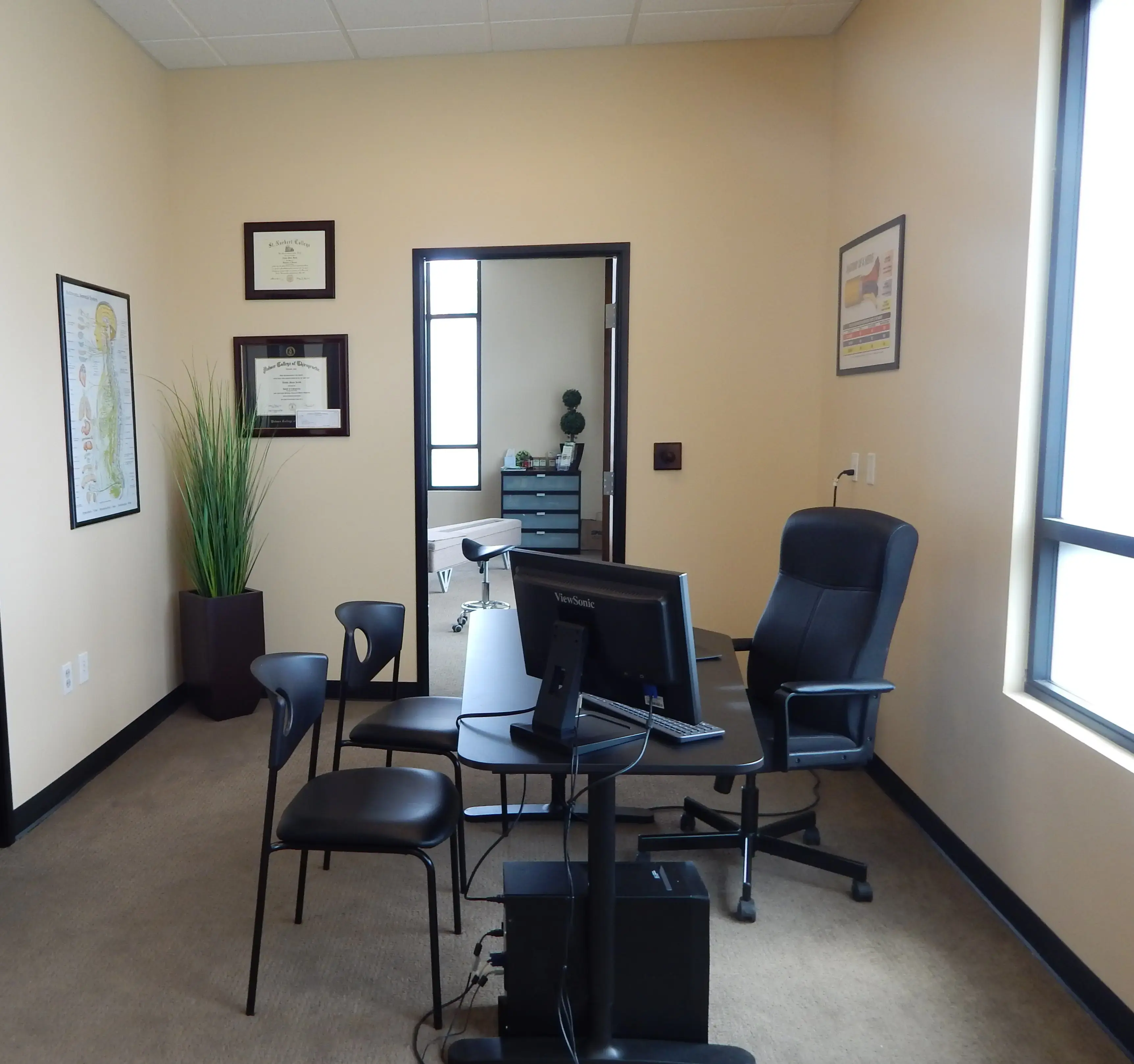 Modern Movement Medicine photo 5