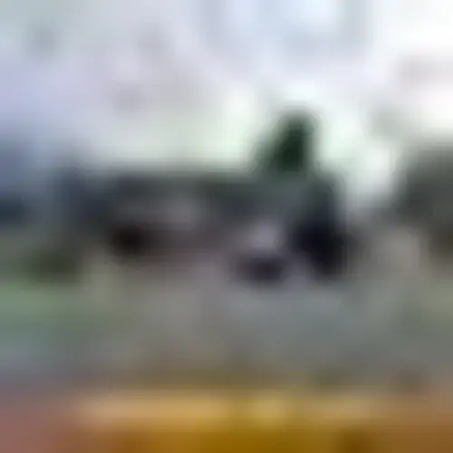 Mountain Medical Specialties photo 3