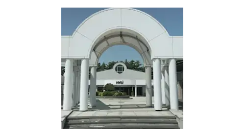 New York Spine Institute