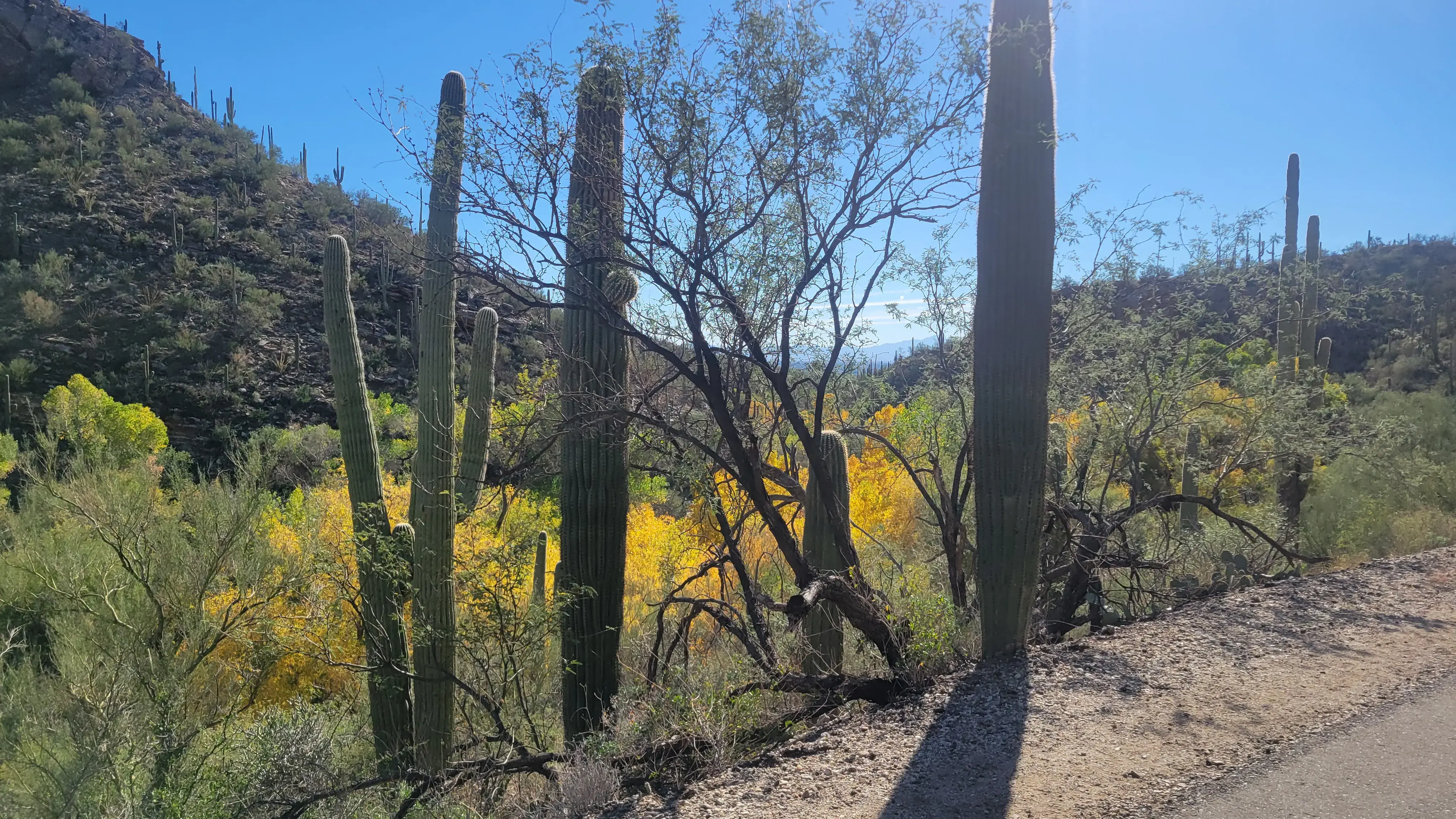 ORIGEN Orthopedics + Optimal Health photo 5