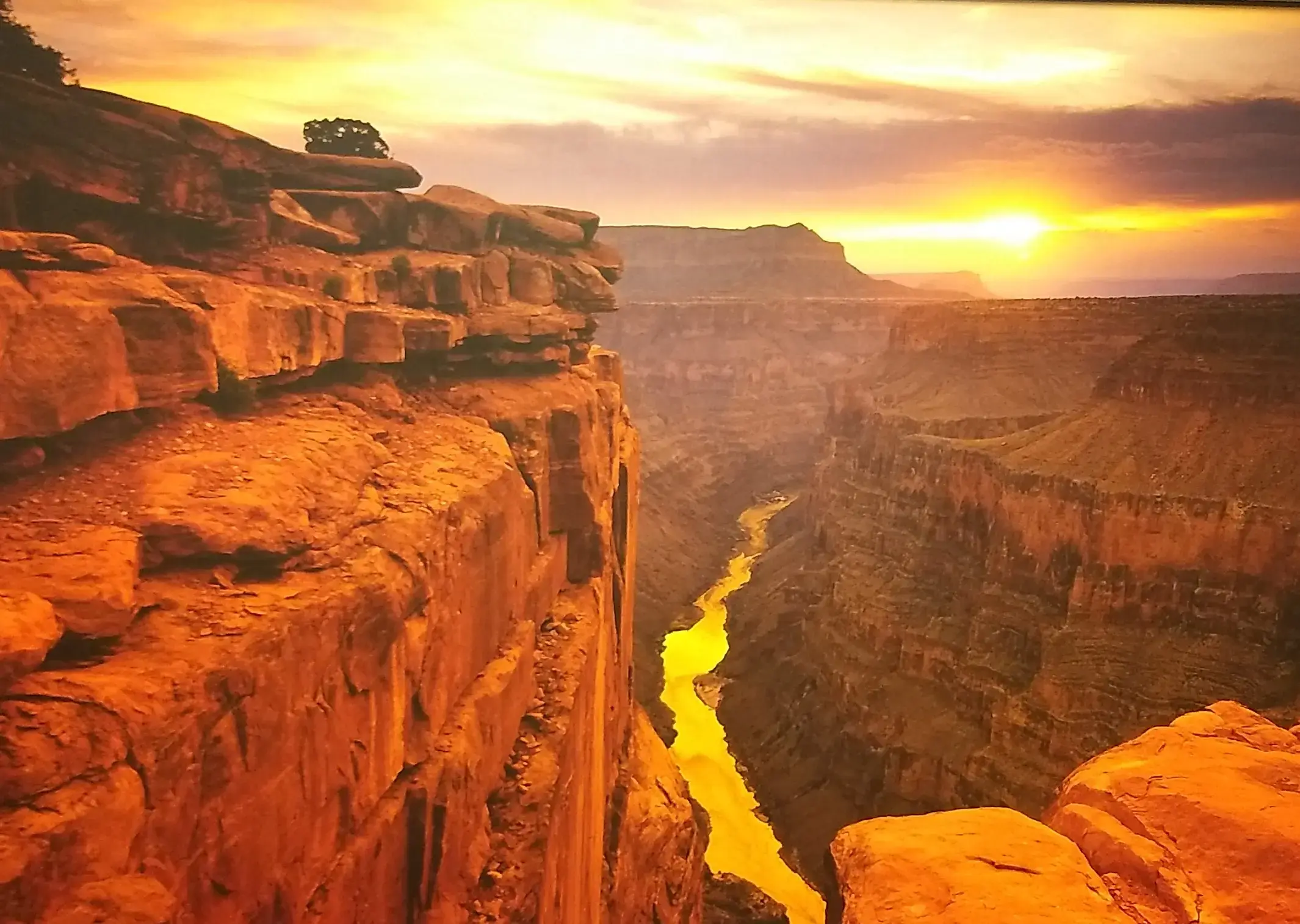 ORIGEN Orthopedics + Optimal Health photo 4