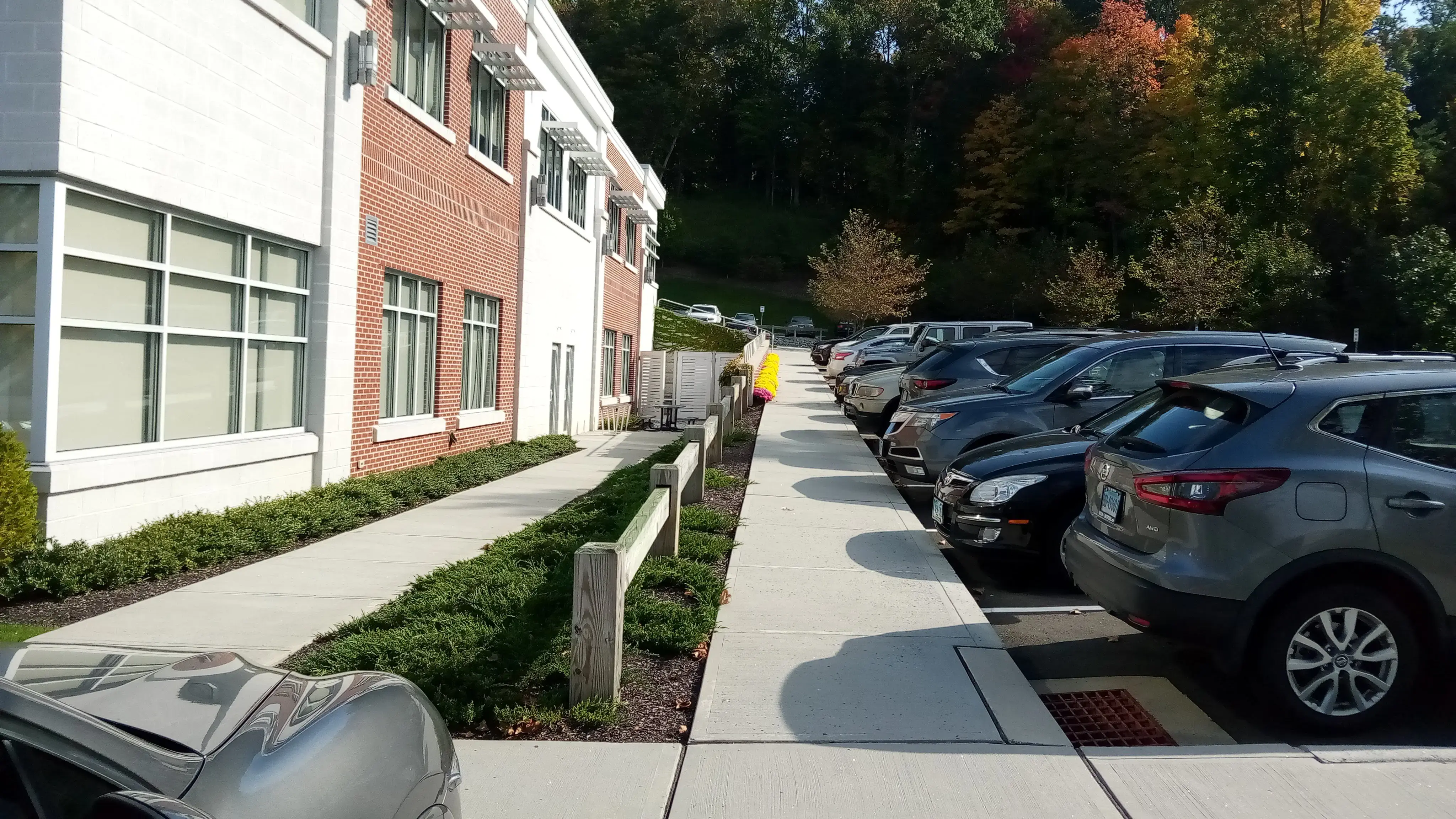 OrthoConnecticut photo 4