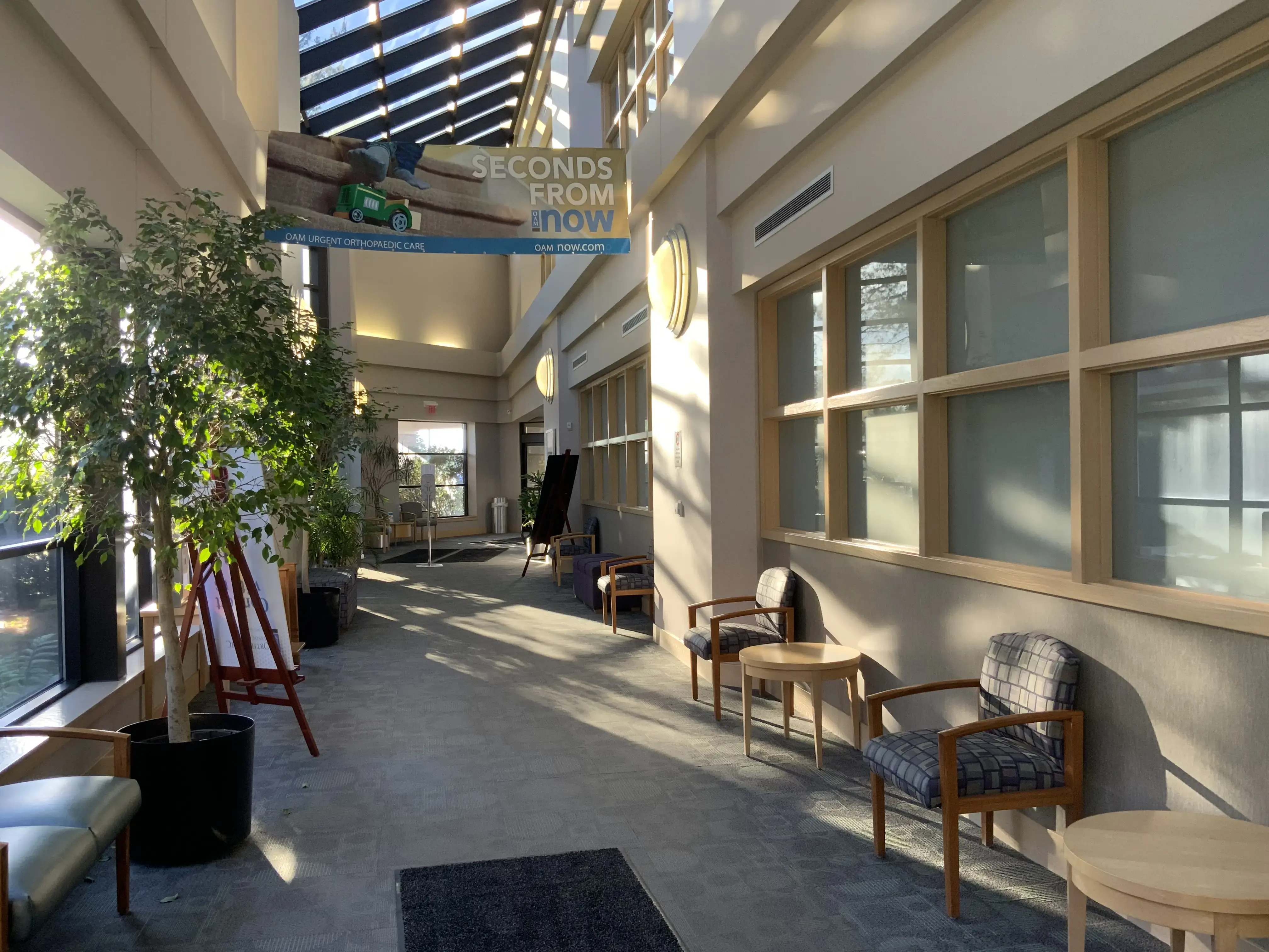 Orthopaedic Associates of Michigan photo 3