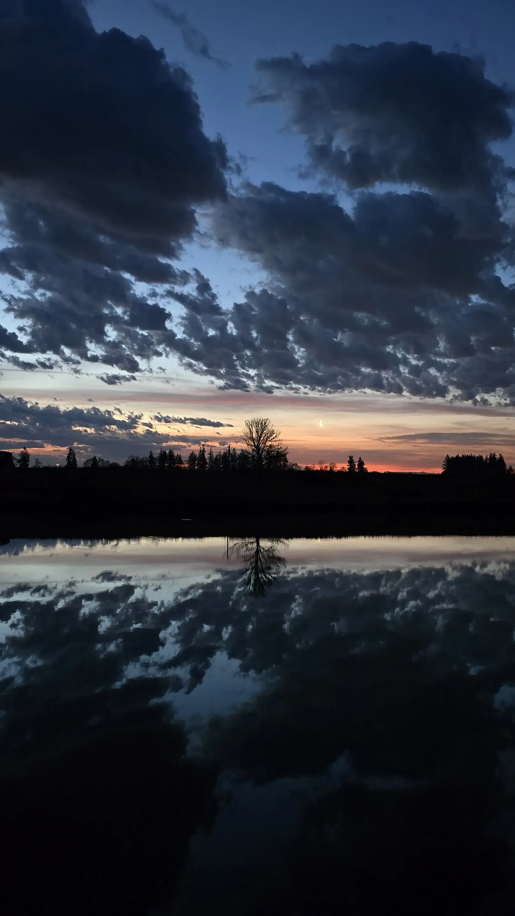 Orthopedic + Fracture Specialists photo 3