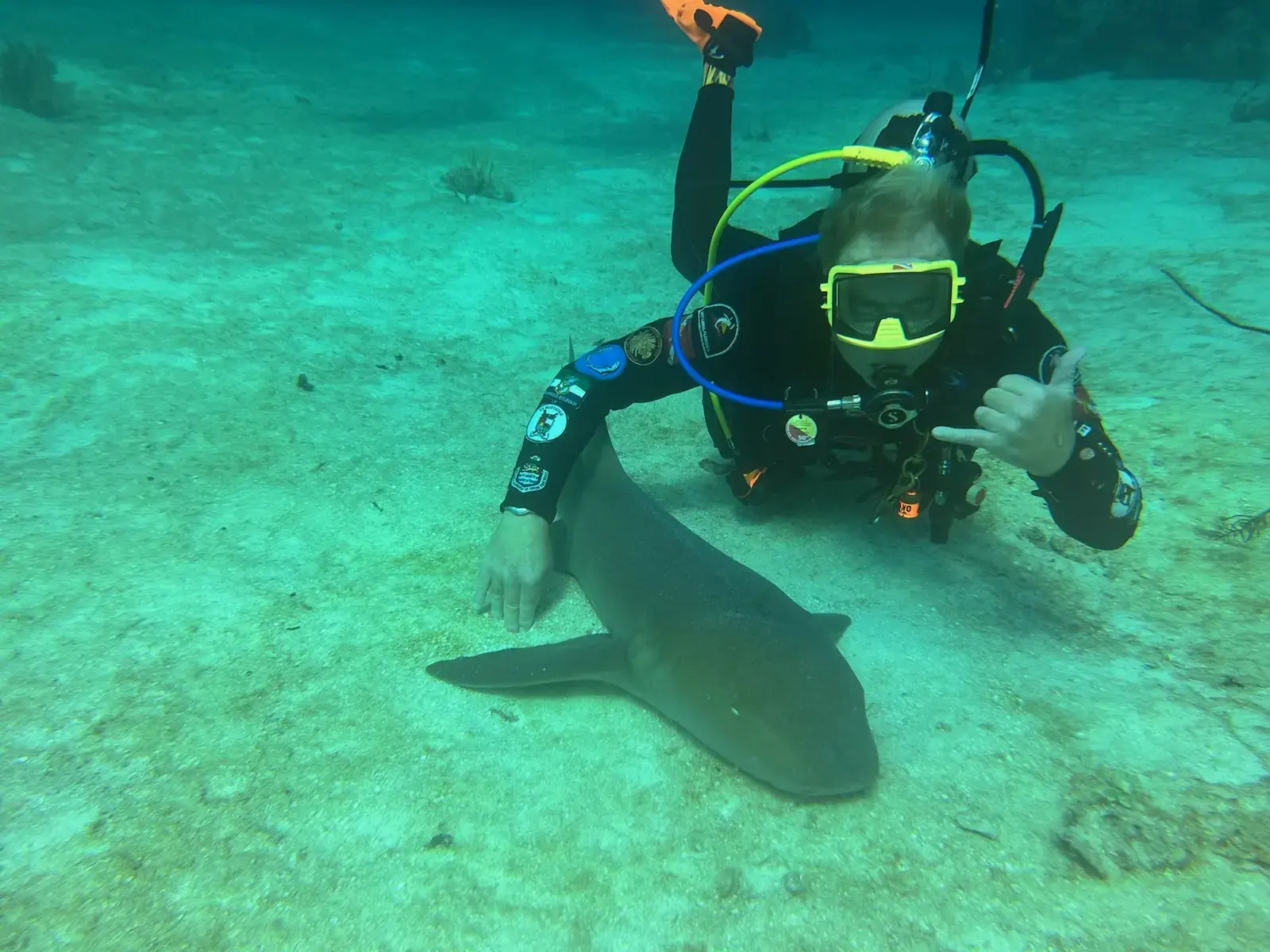 Ozark Orthopaedics photo 5