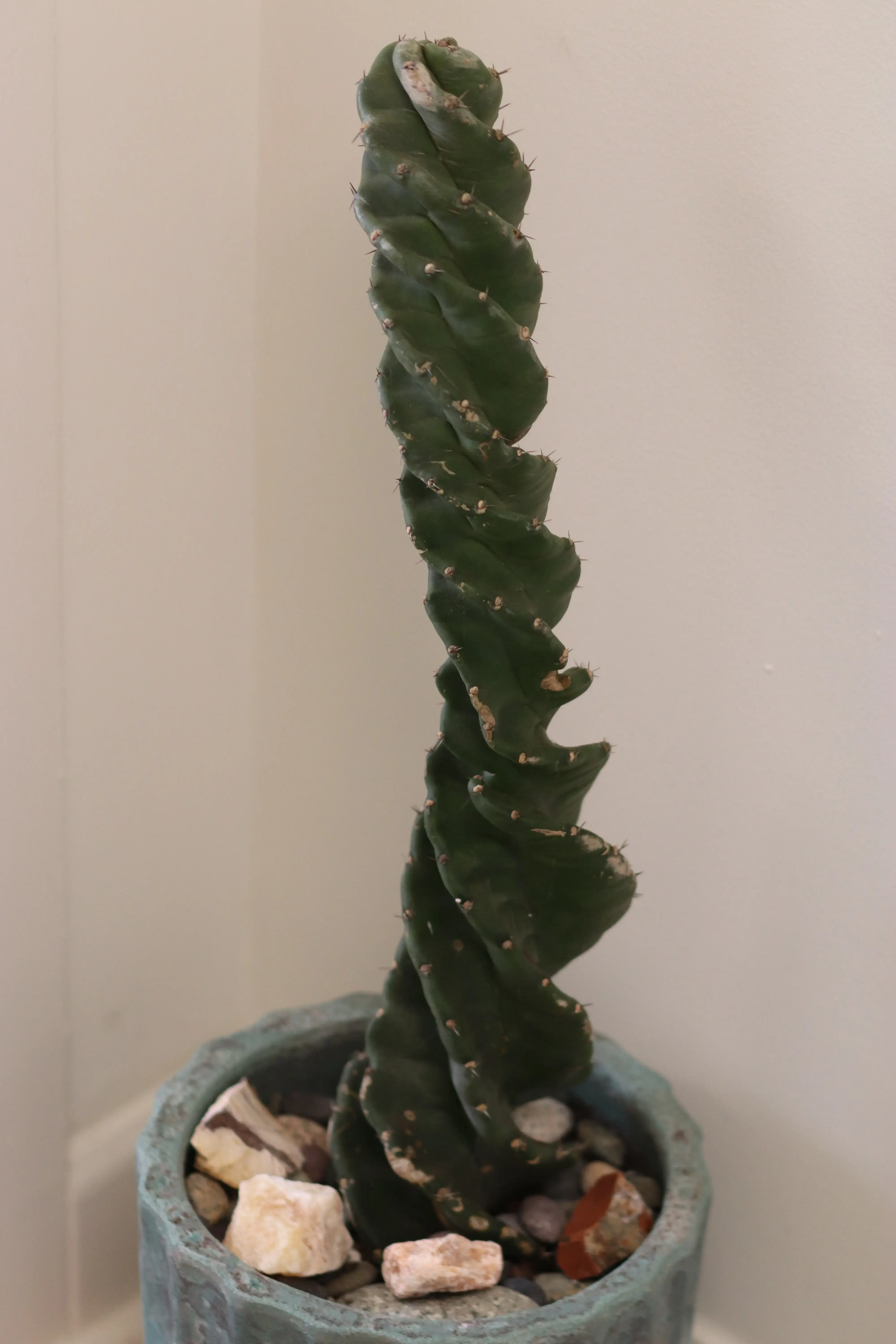 Pain & Healing Wellness Center photo 2