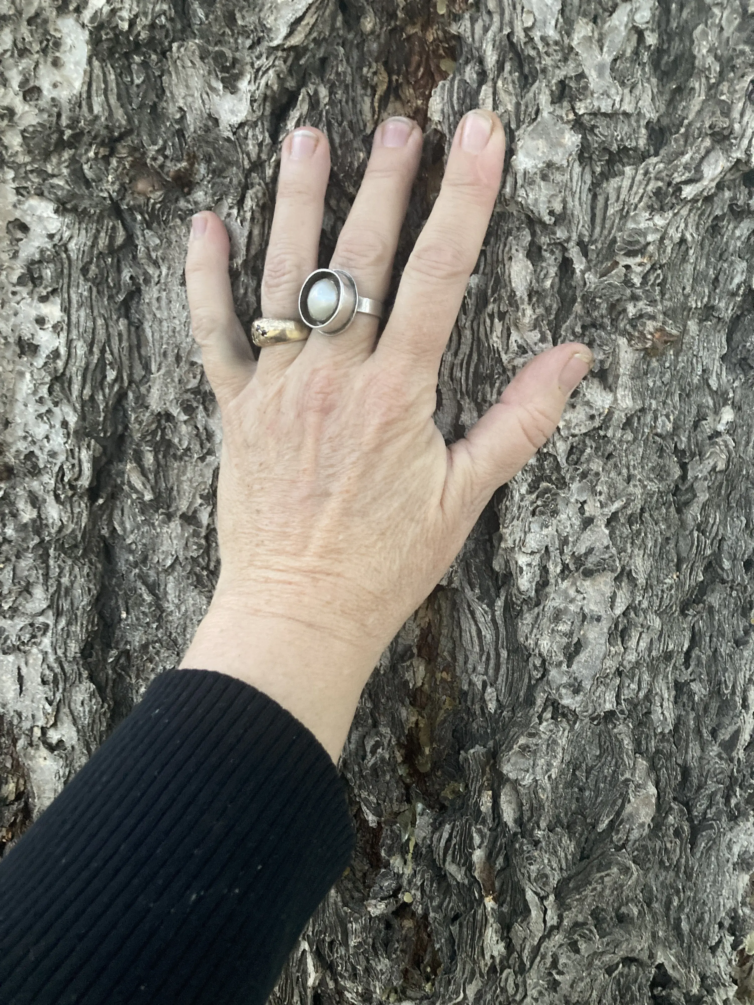 Peter M Kelleher, MD photo 3