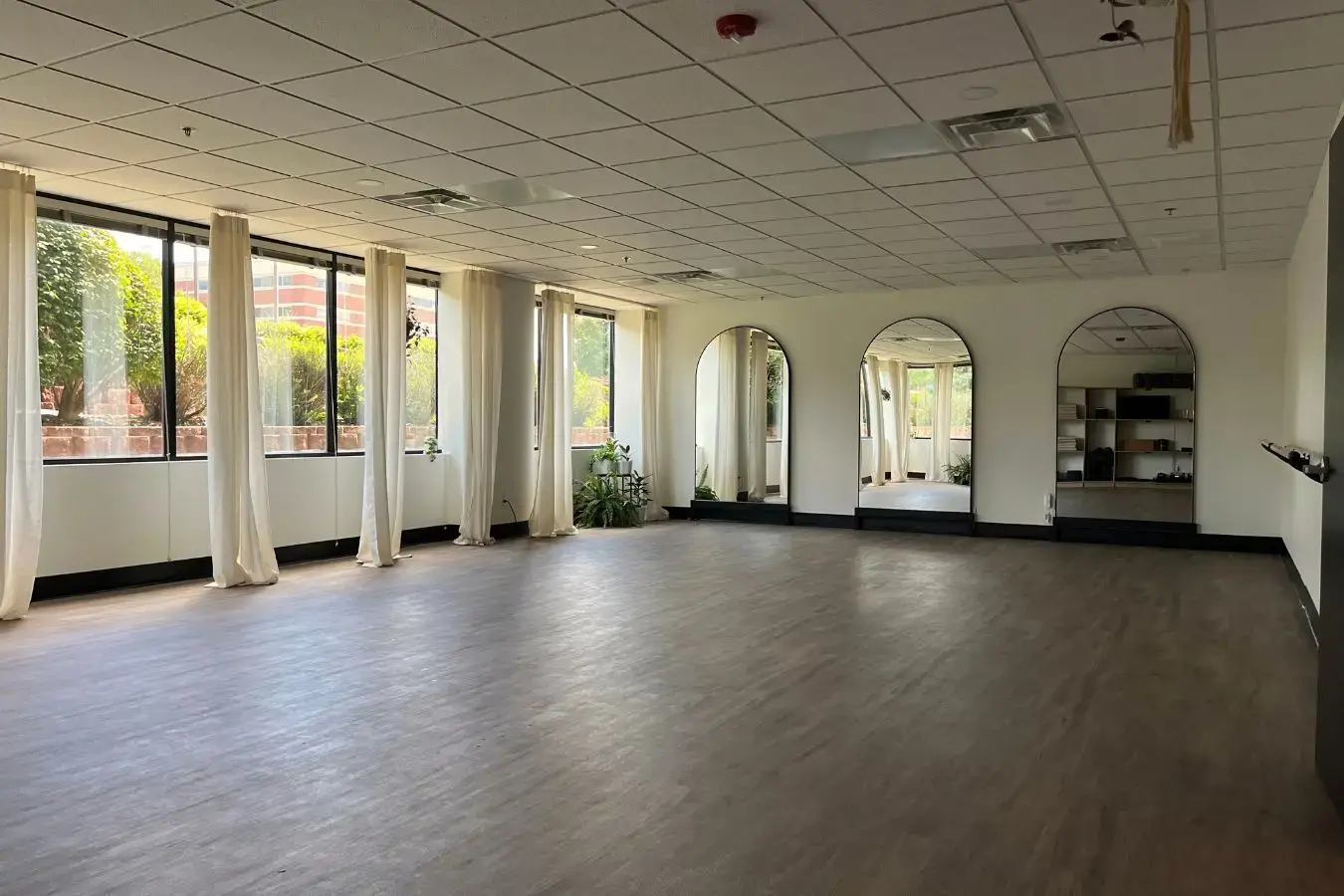 Re-new Institute photo 5