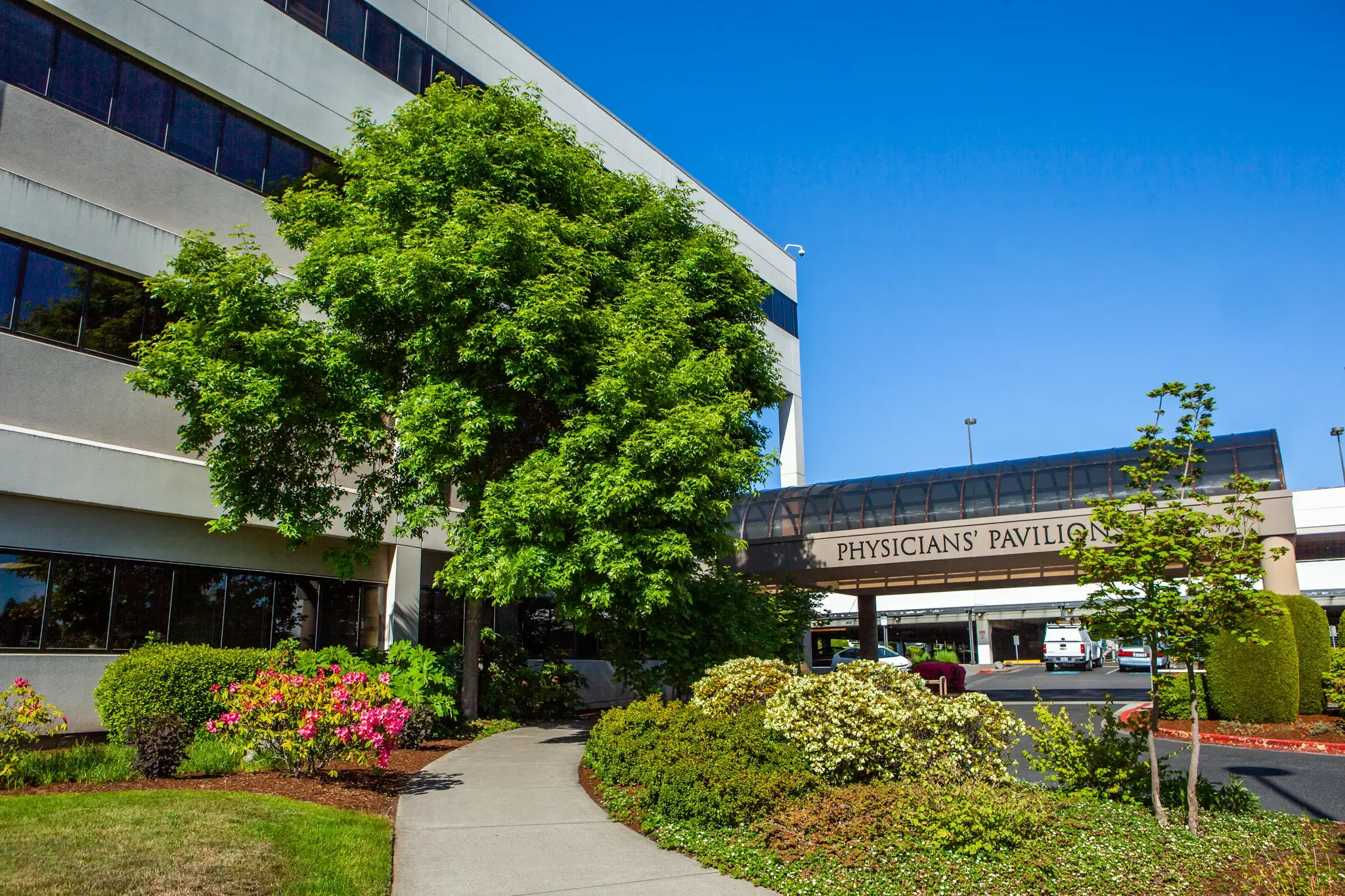 Rebound Orthopedics & Neurosurgery - Rebound Orthopedics Vancouver photo 2