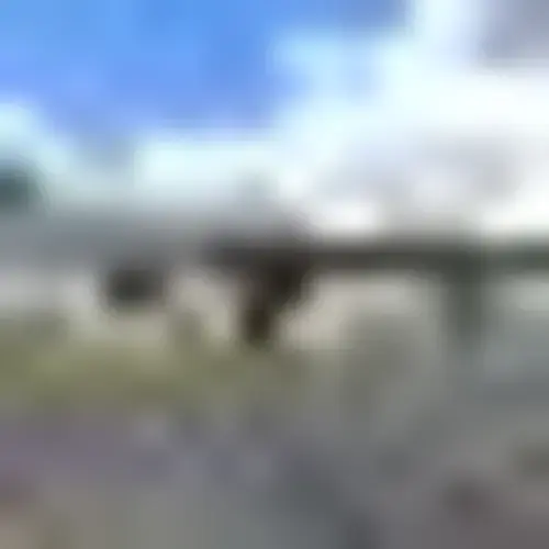 Regenerative Medicine of Alabama