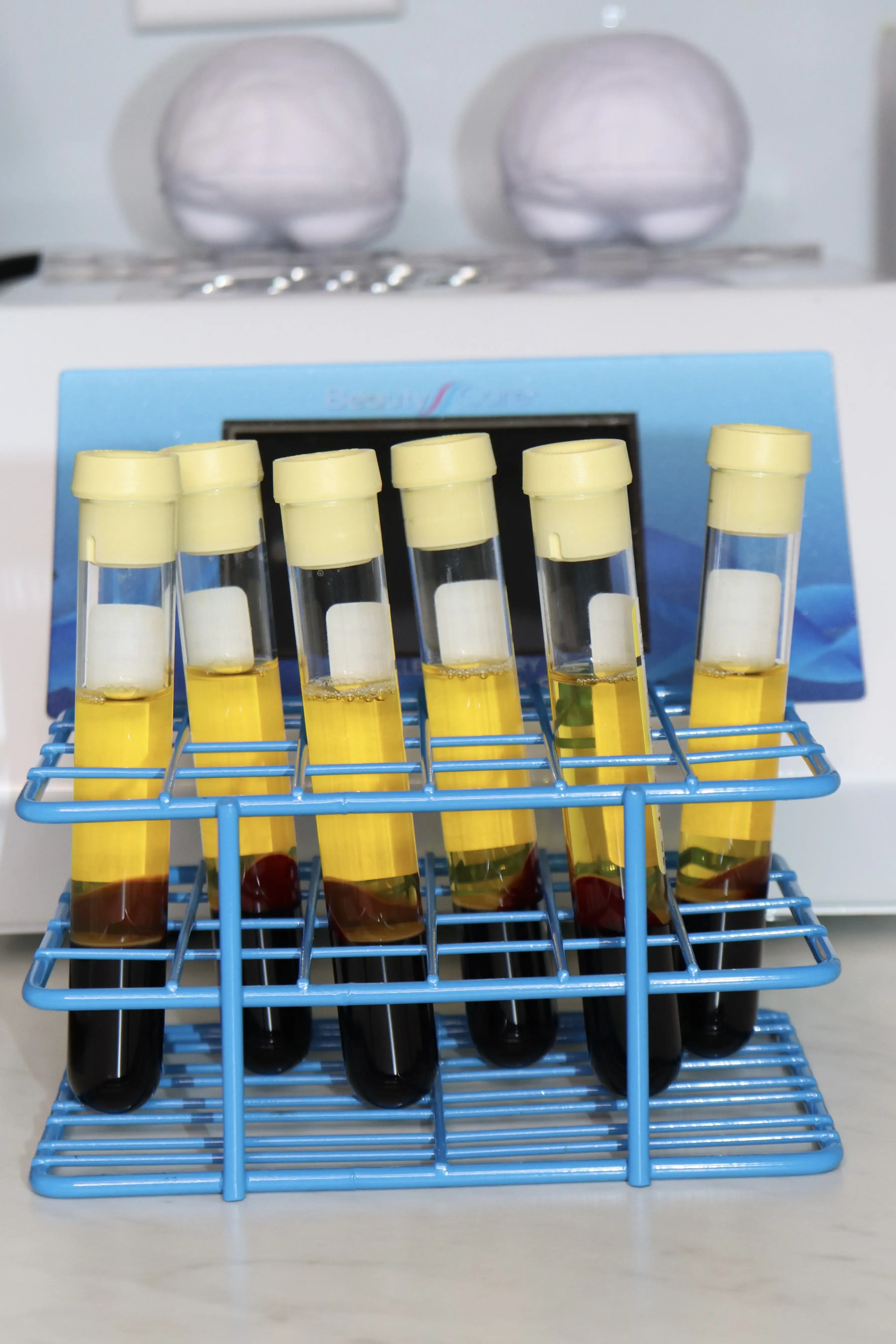 Regenerative Sport, Spine and Spa photo 4