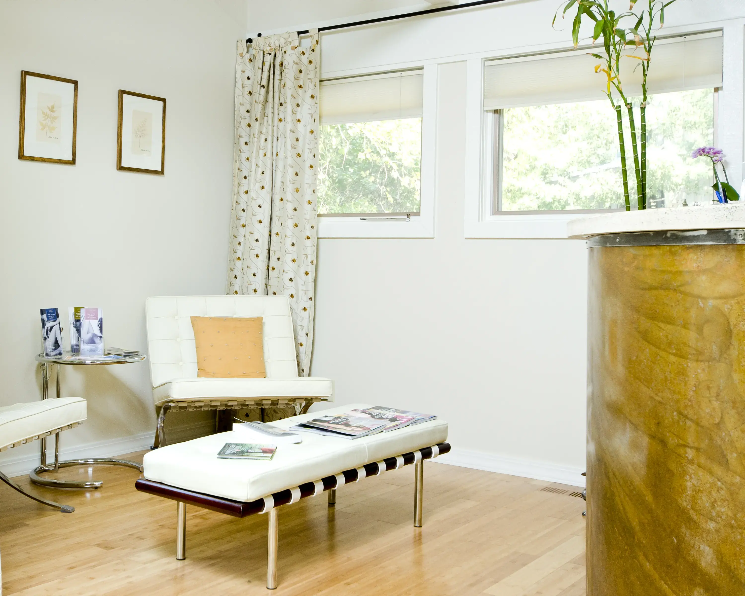 Reincarnation Medical Spa, Center for Advanced Regenerative Medicine photo 2