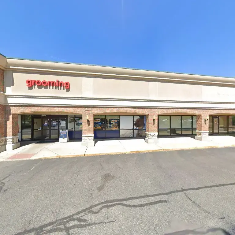 Renew Medical Centers