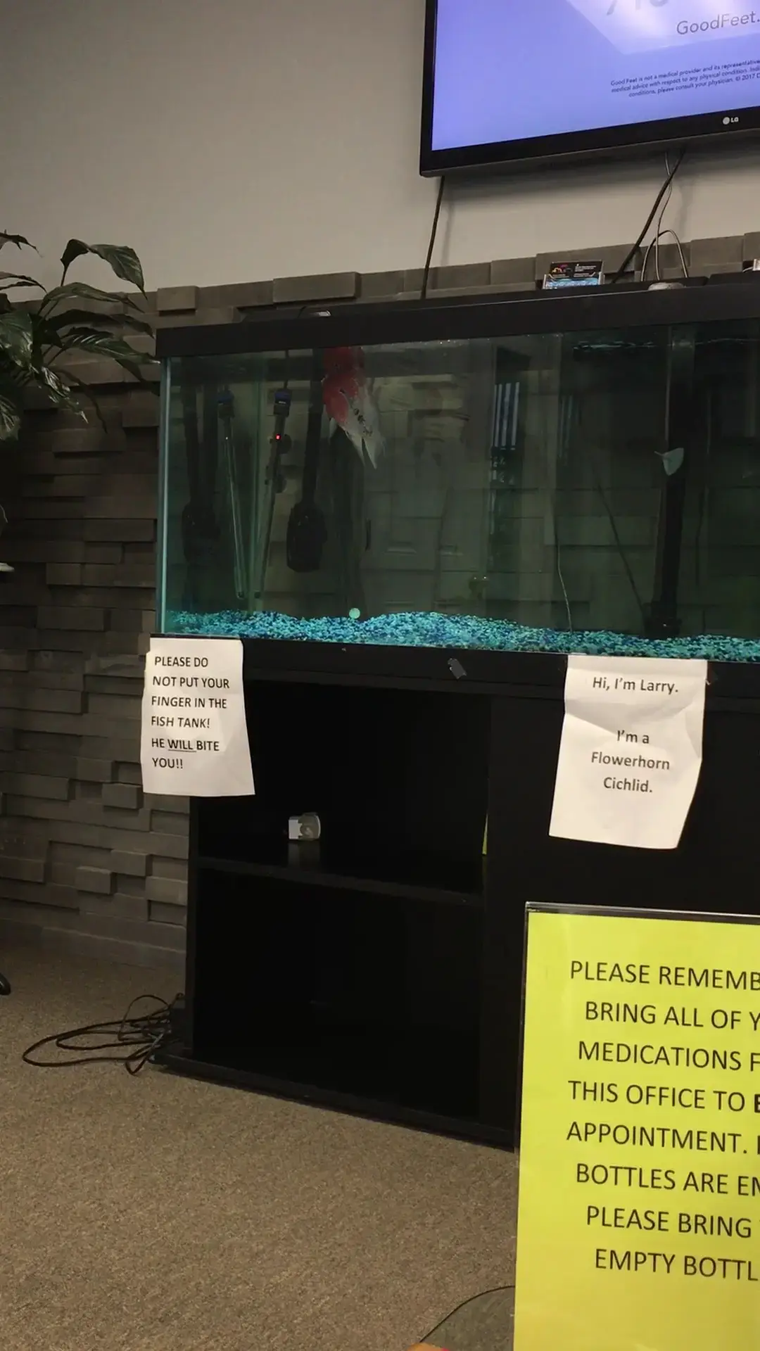 RES Physical Medicine & Rehab