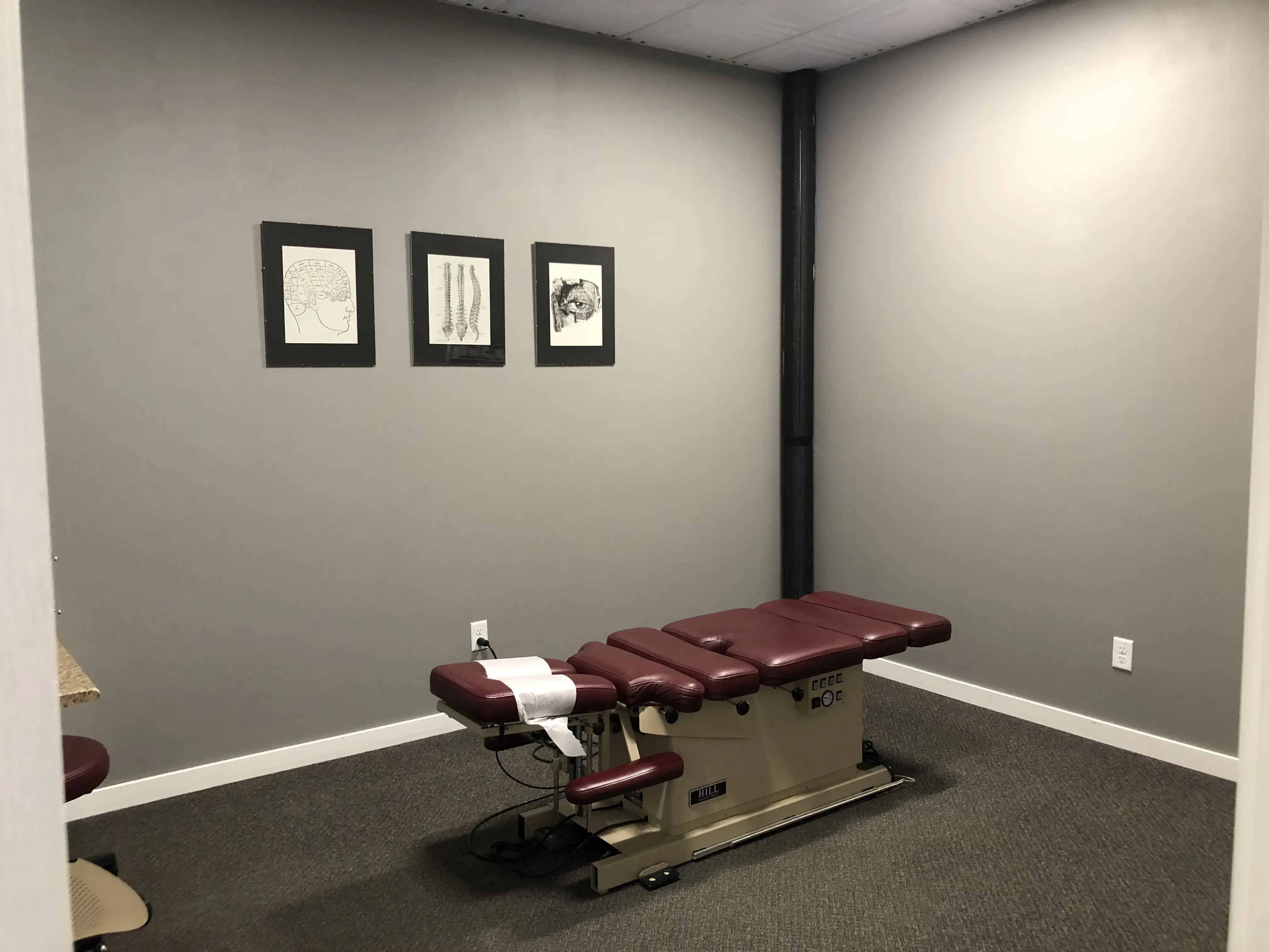 REVIV Fergus Falls (Smith Family Chiropractic) photo 2