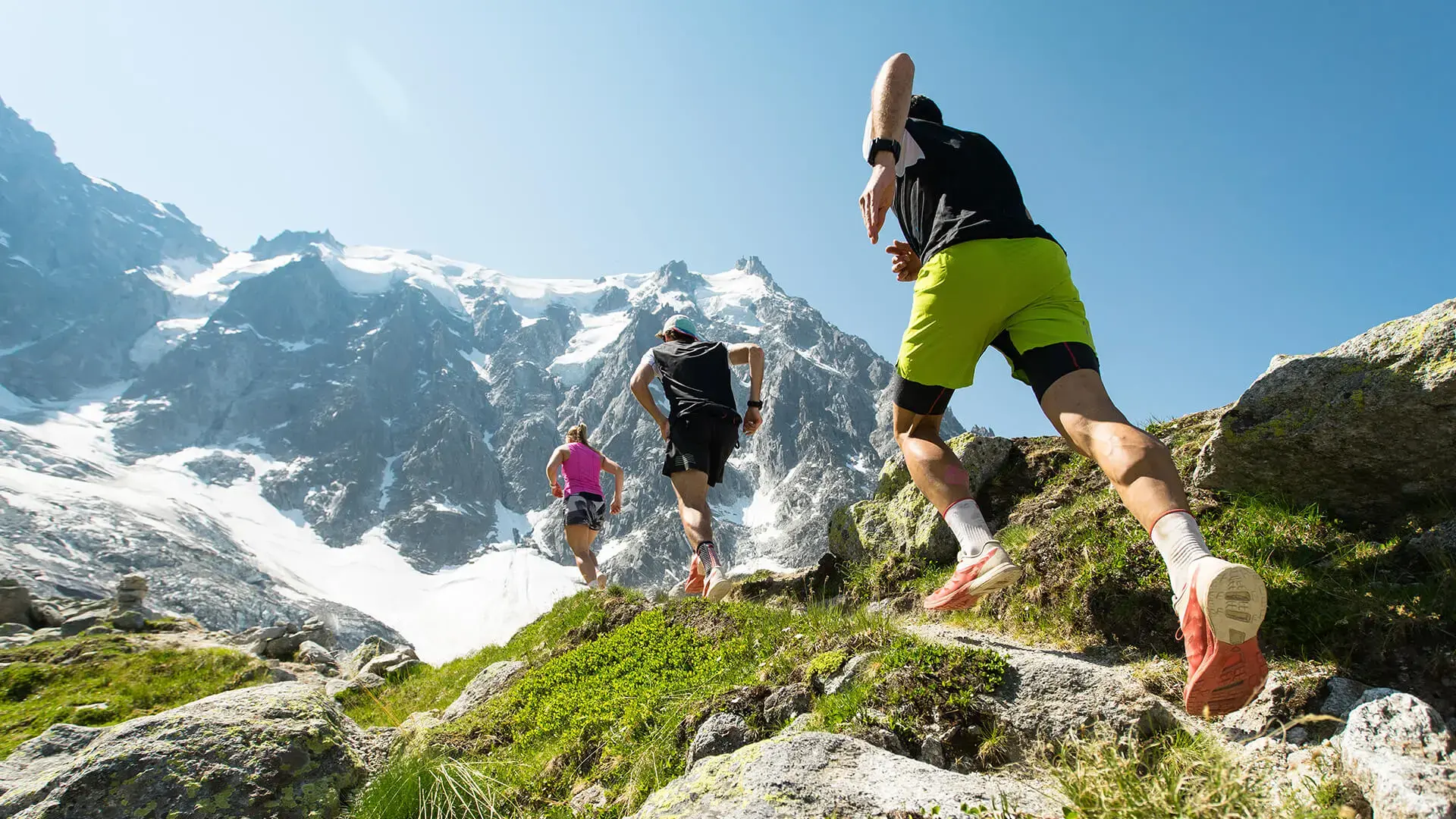 régénérer - Orthobiologics & Stem Cell Therapy