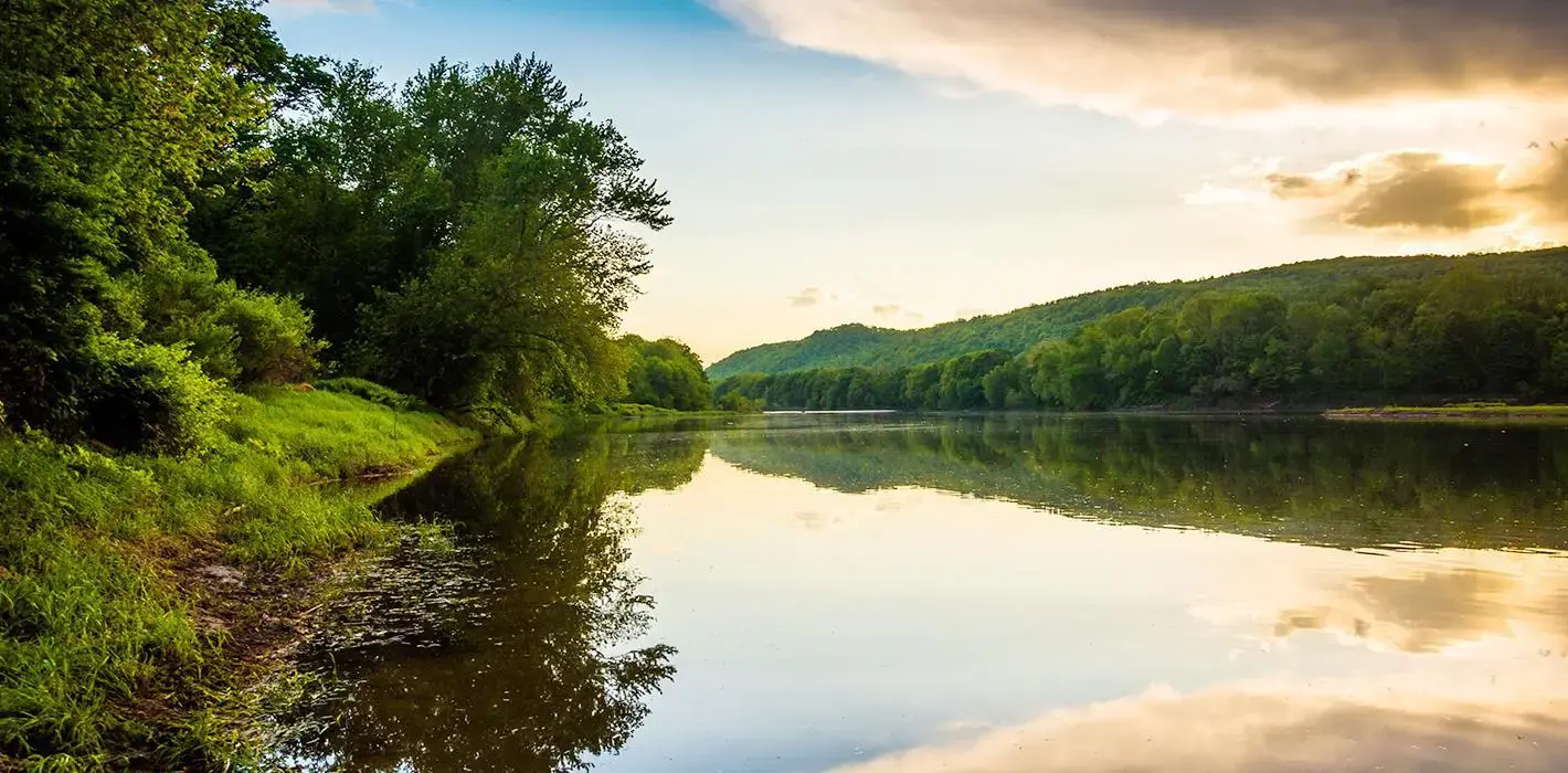 Rheumatology Center Of New Jersey photo 2