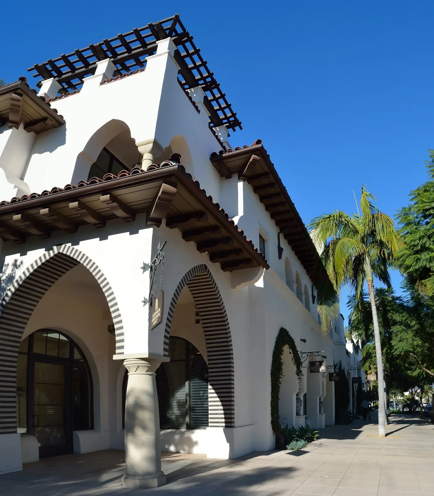 Scheinberg Orthopedic Group