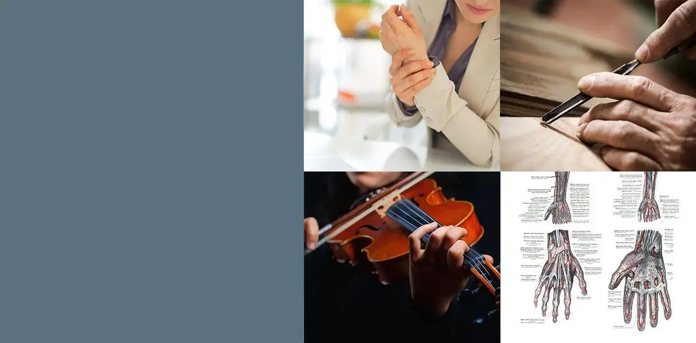 Sohail Shayfer, M.D. photo 2