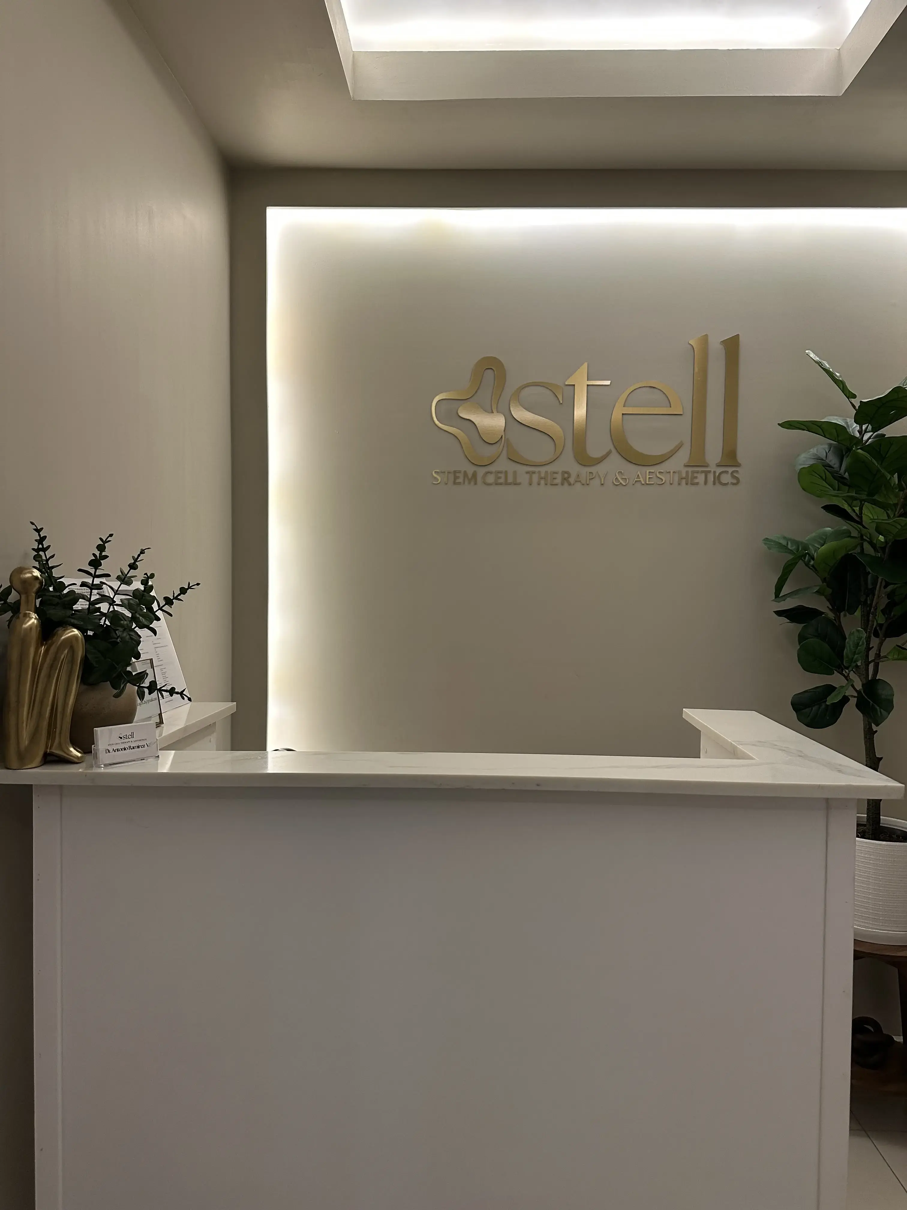 Stell | Stem cell therapy & aesthetics photo 3