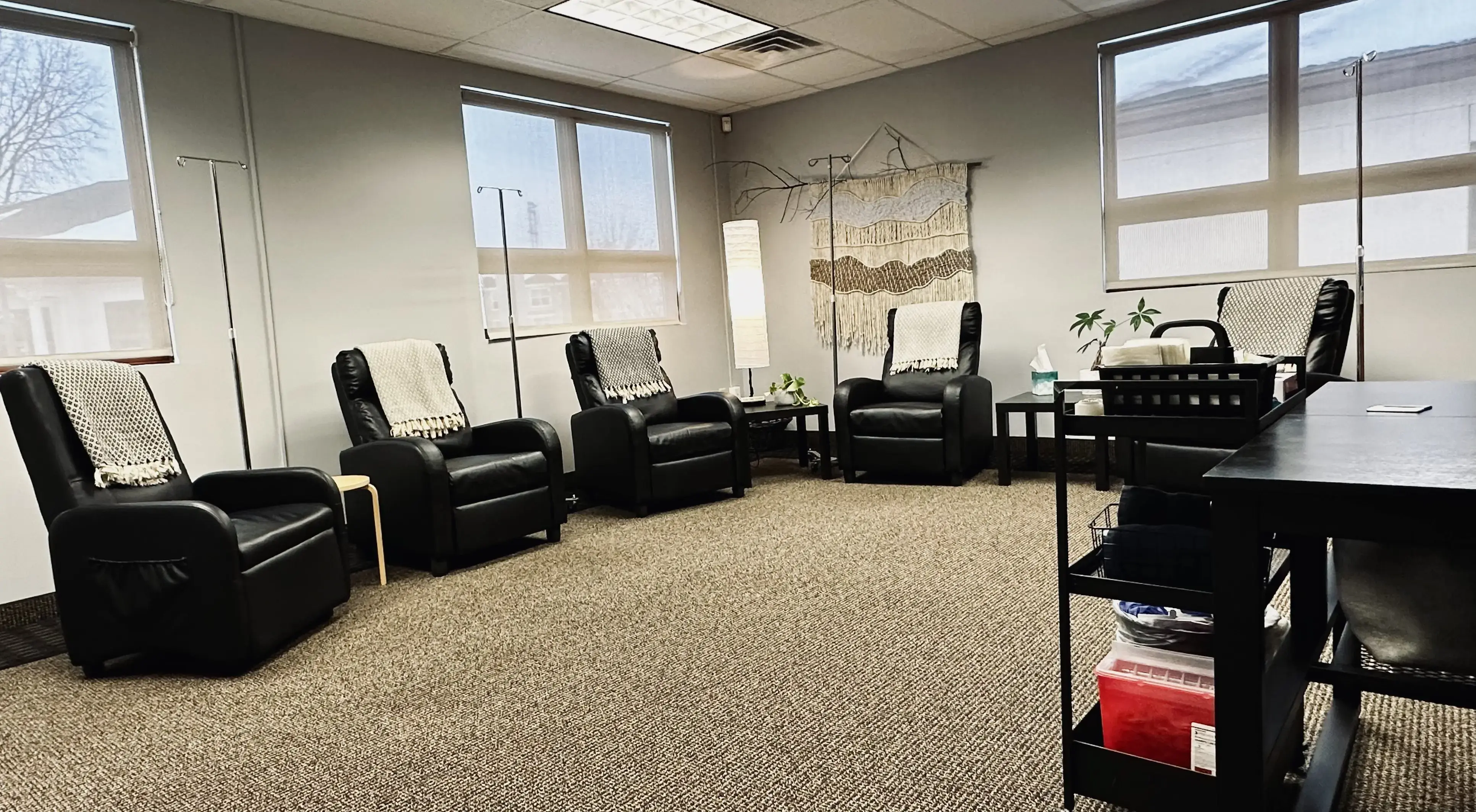 Synapse Renew photo 5