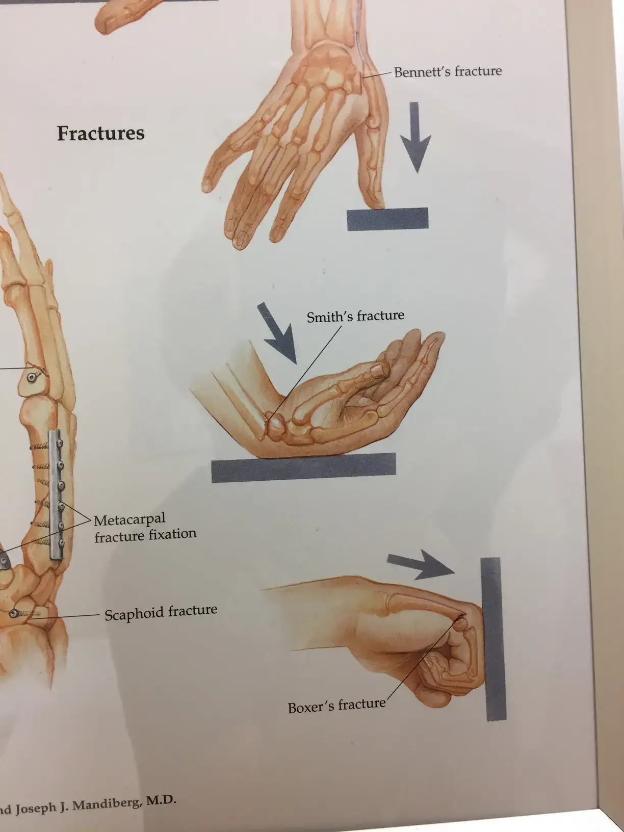 Texas Orthopedics photo 4