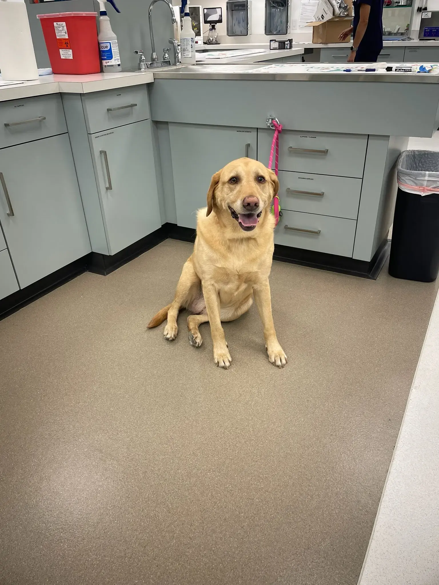 The inFURmary photo 4