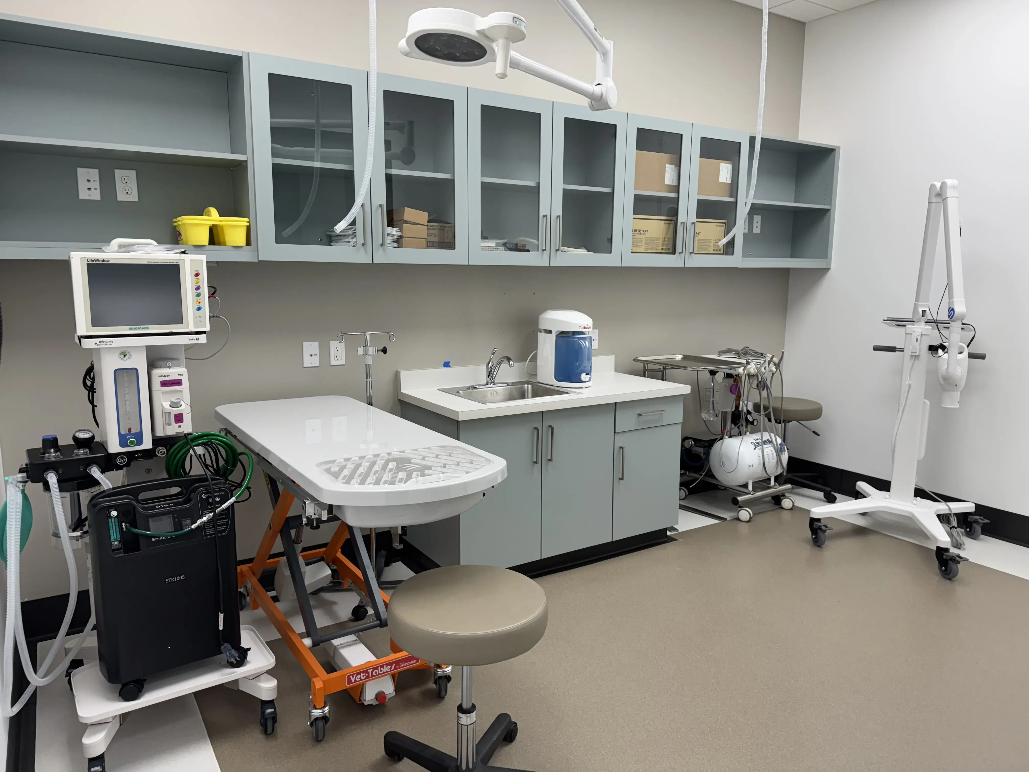 The inFURmary photo 5