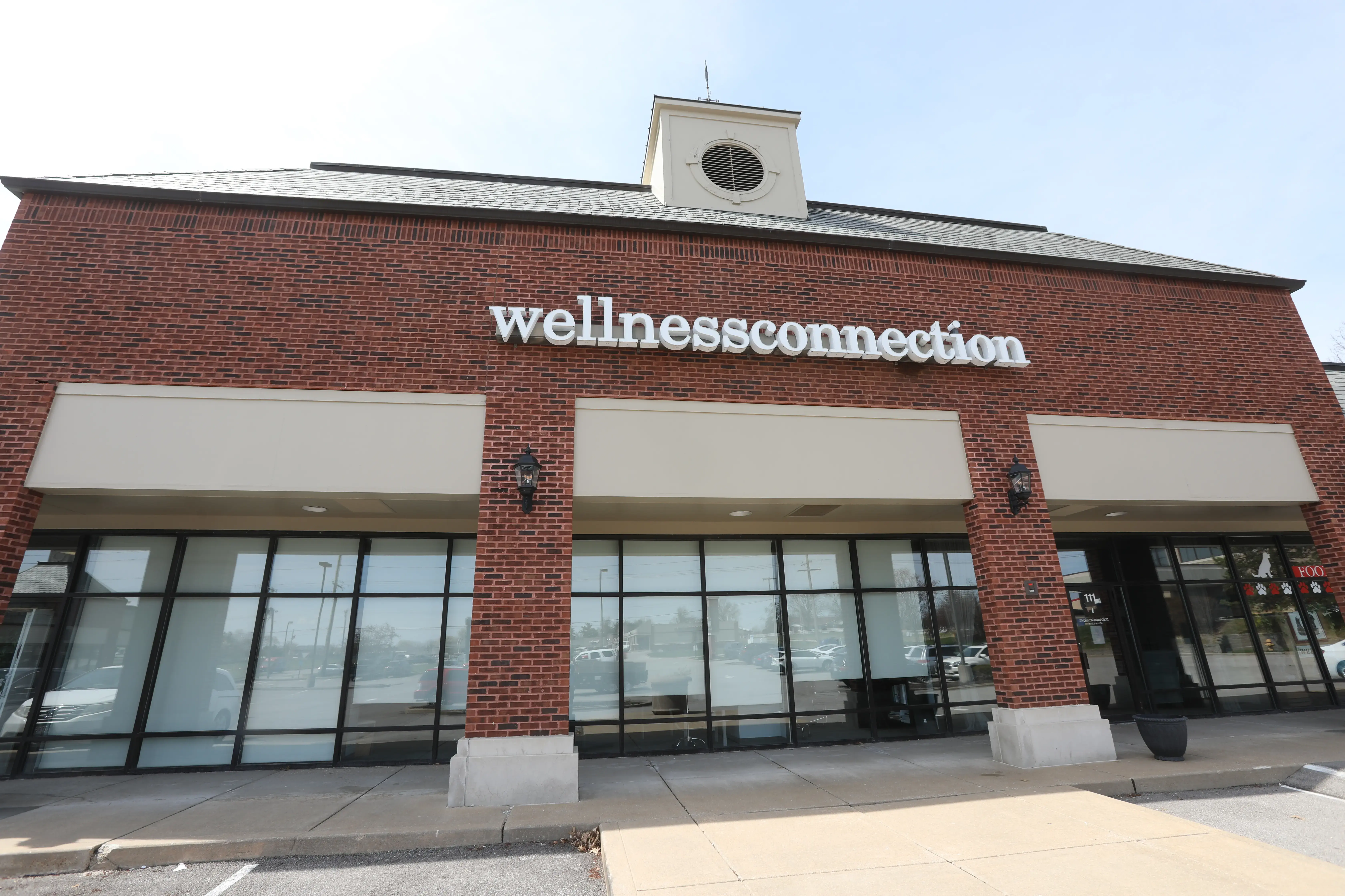 The Wellness Connection photo 2