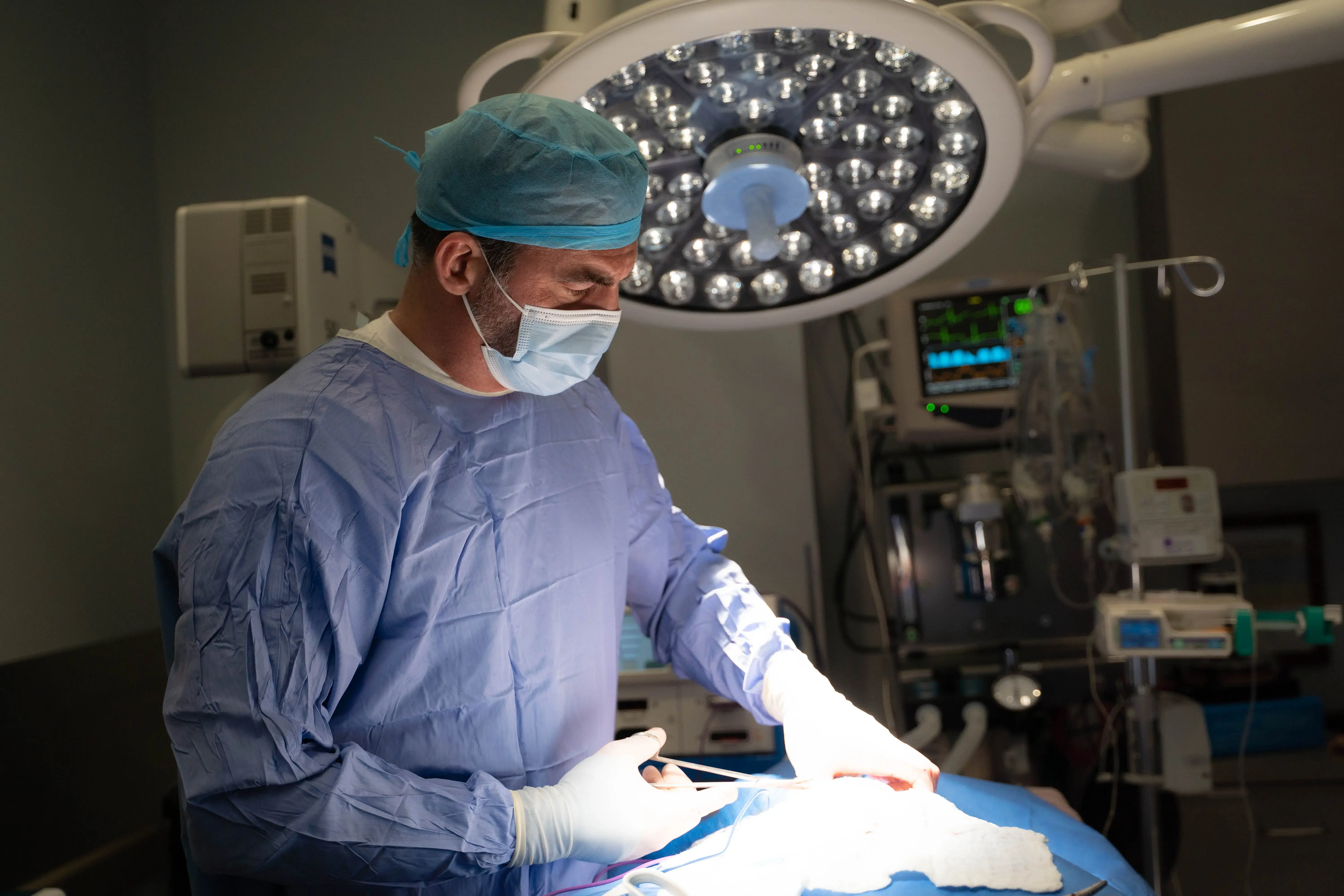 Tier 1 Veterinary Medical Center photo 5