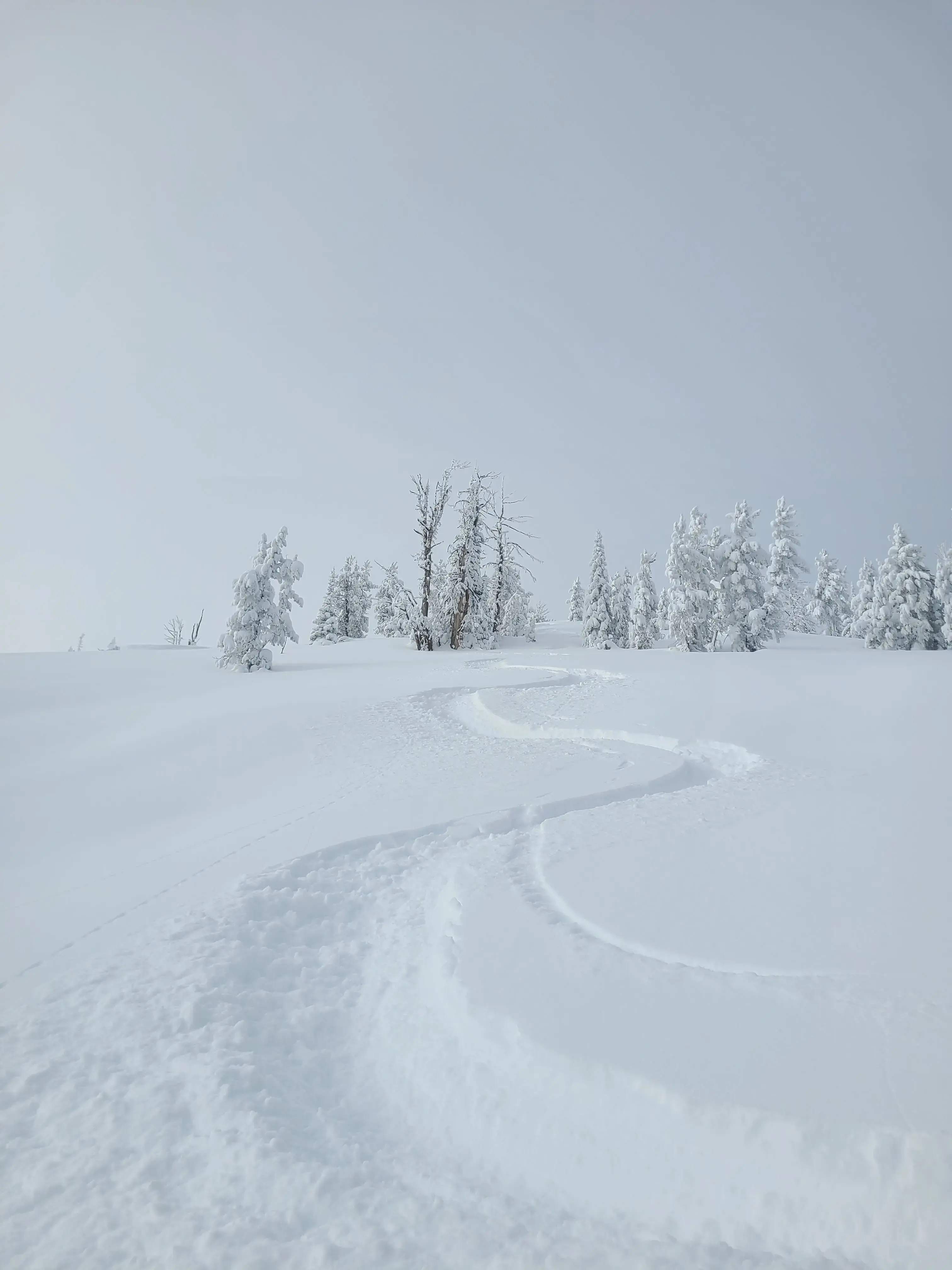Timothy O'Brien, MD photo 2