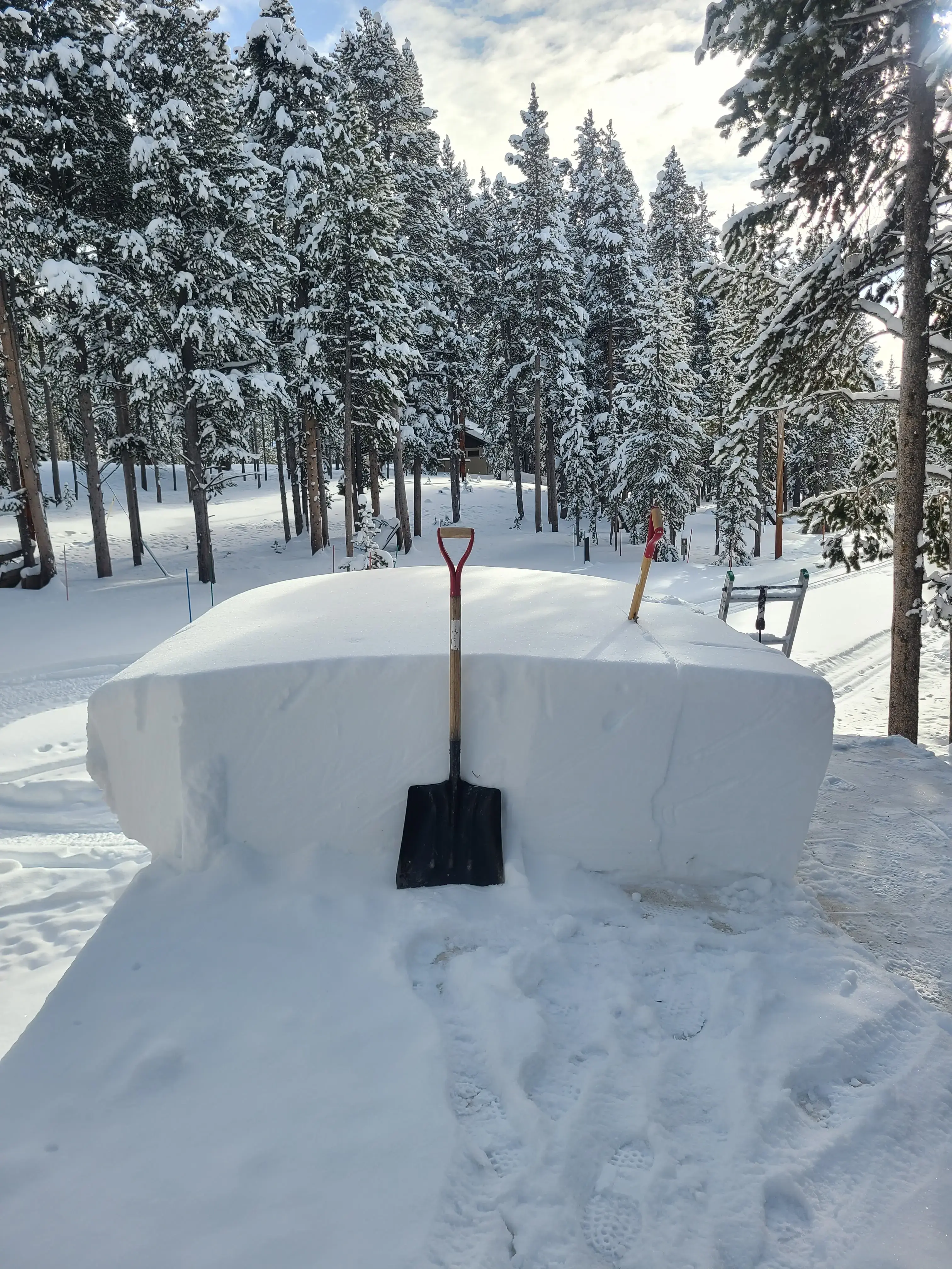 Timothy O'Brien, MD photo 4