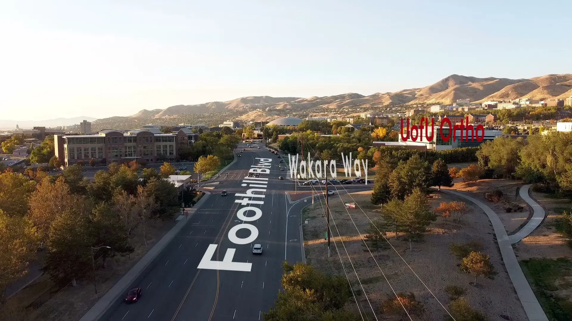 University Orthopaedic Center photo 2