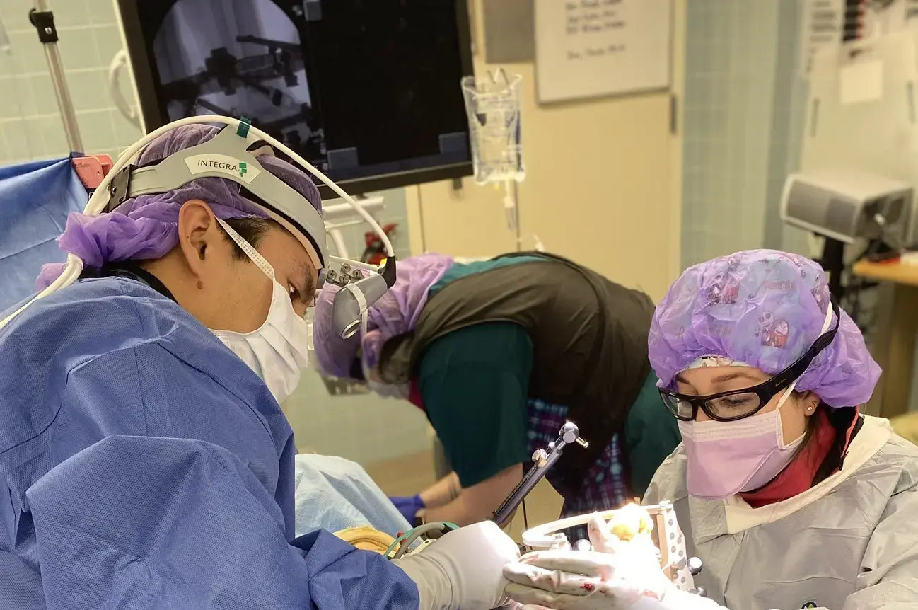 Vale Foot & Ankle Surgery, PLLC photo 4