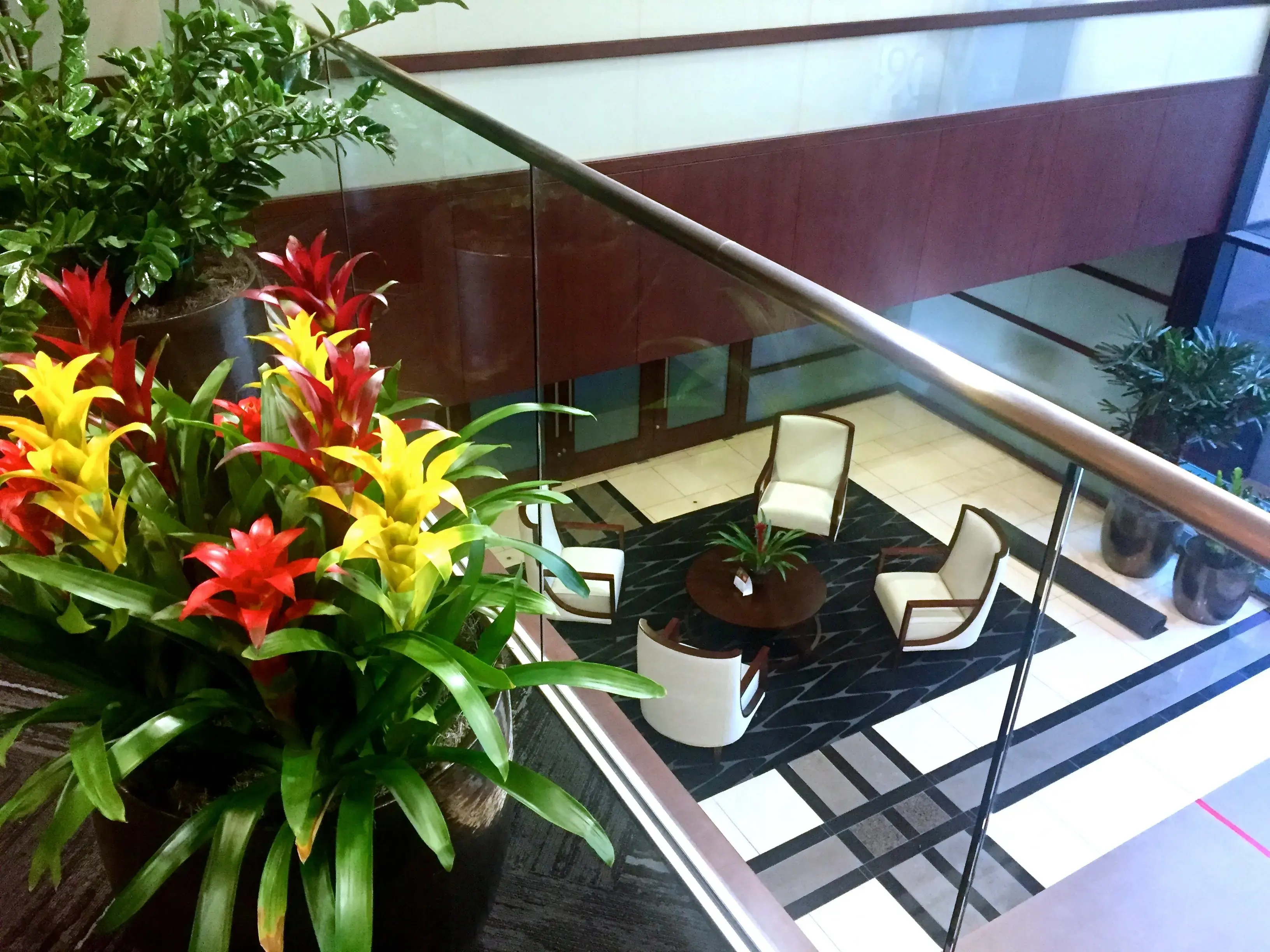 Vibrant Health Care photo 5