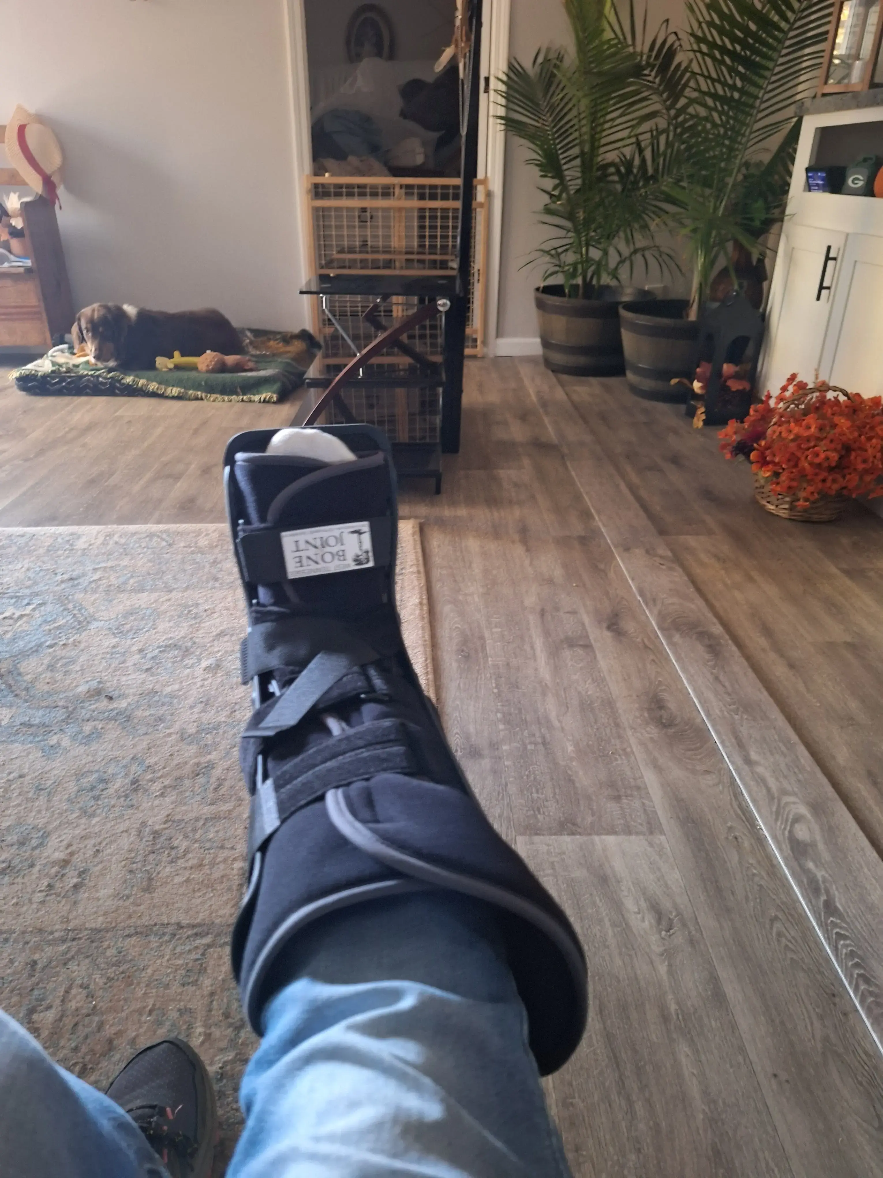 West Tennessee Bone & Joint Clinic