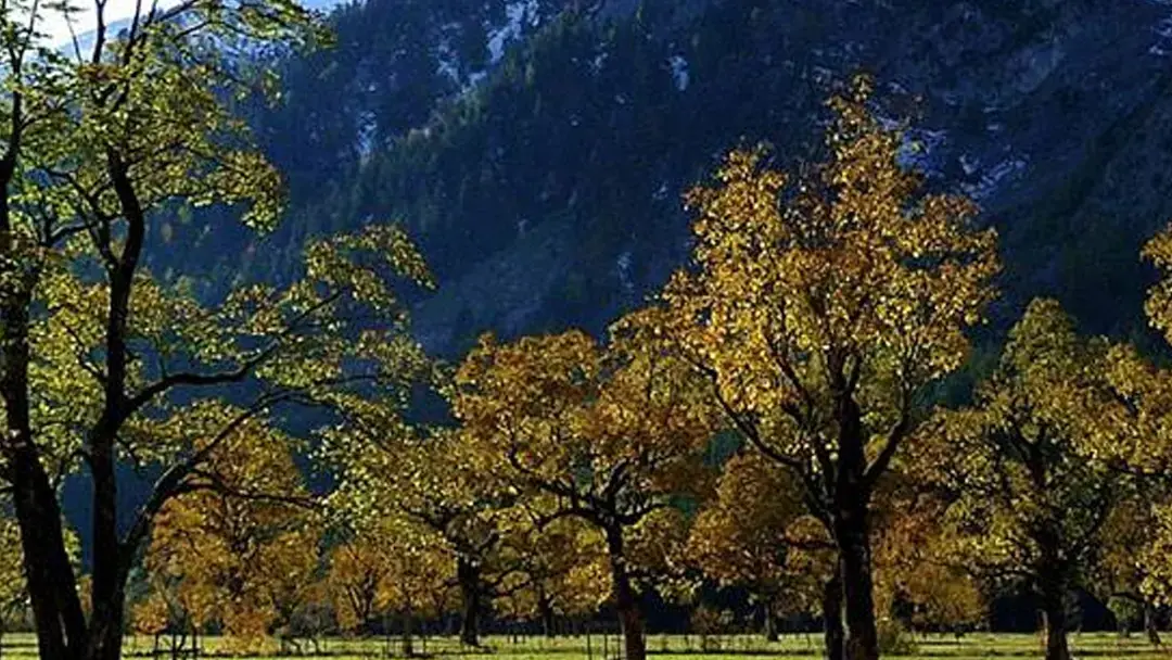 West Valley Naturopathic Center