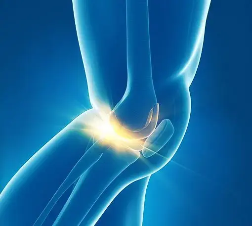 Wisconsin Stem Cell Institute photo 2