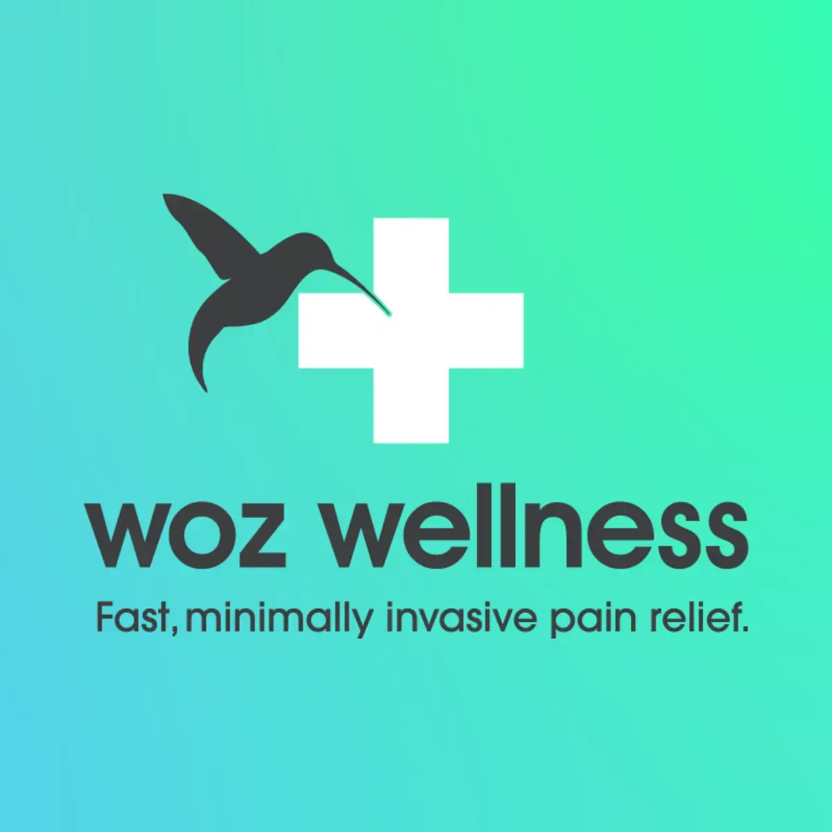 Woz Wellness photo 3