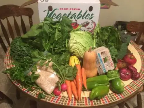 Spiritual Food CSA food pantry